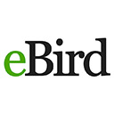 eBird Logo