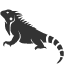 Ctenosaura quinquecarinata Iguana icon