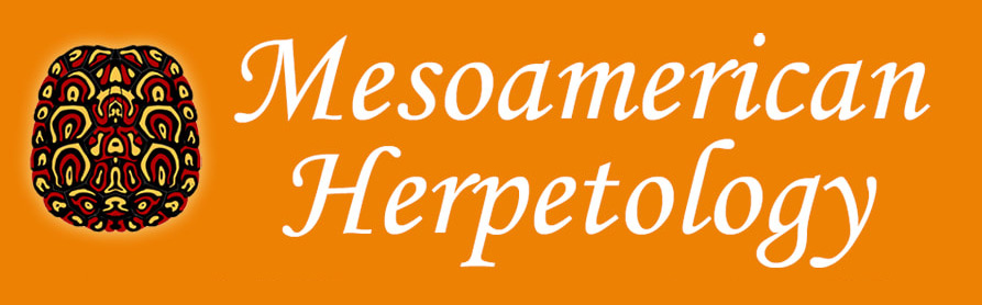 Lost Canyon Herpetology Studies