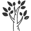 Tropical Dry Fores Tropical Dry Forest Icon
